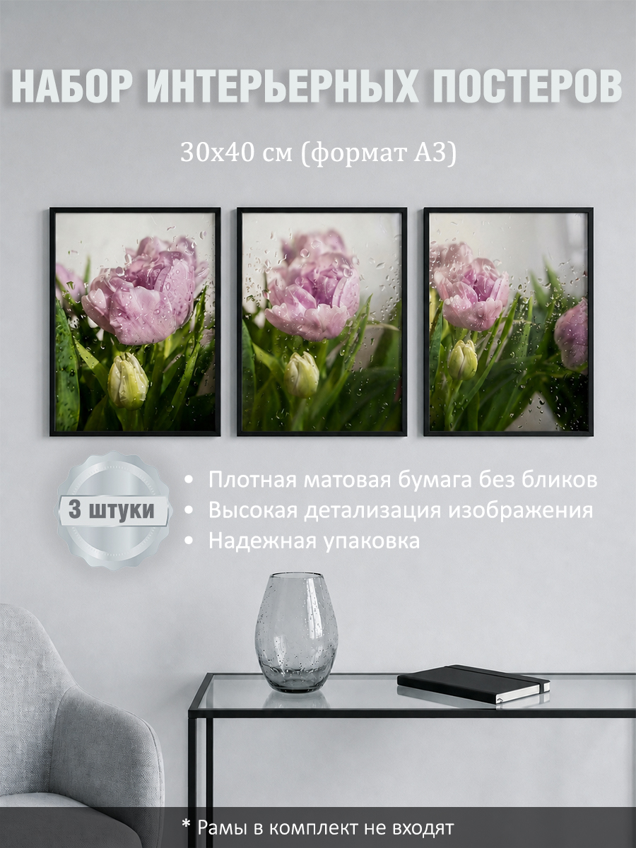 11285470173-1.jpg Набор постеров интерьерных на стену "Тюльпаны" 30x40 см
