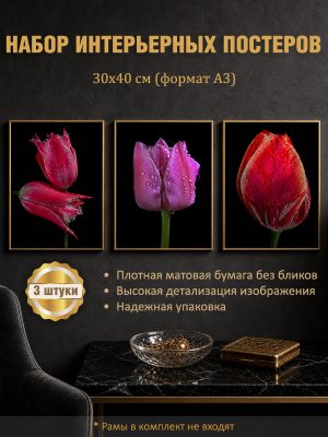 Набор постеров интерьерных на стену "Тюльпаны" 30x40 см