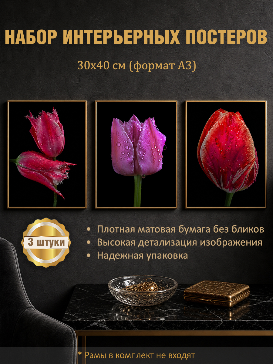 11285474759.jpg Набор постеров интерьерных на стену "Тюльпаны" 30x40 см