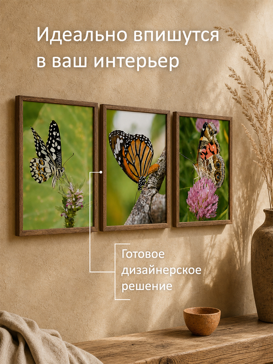 11329512051.jpg Набор постеров интерьерных на стену "Бабочки" 30x40 см — изображение 2