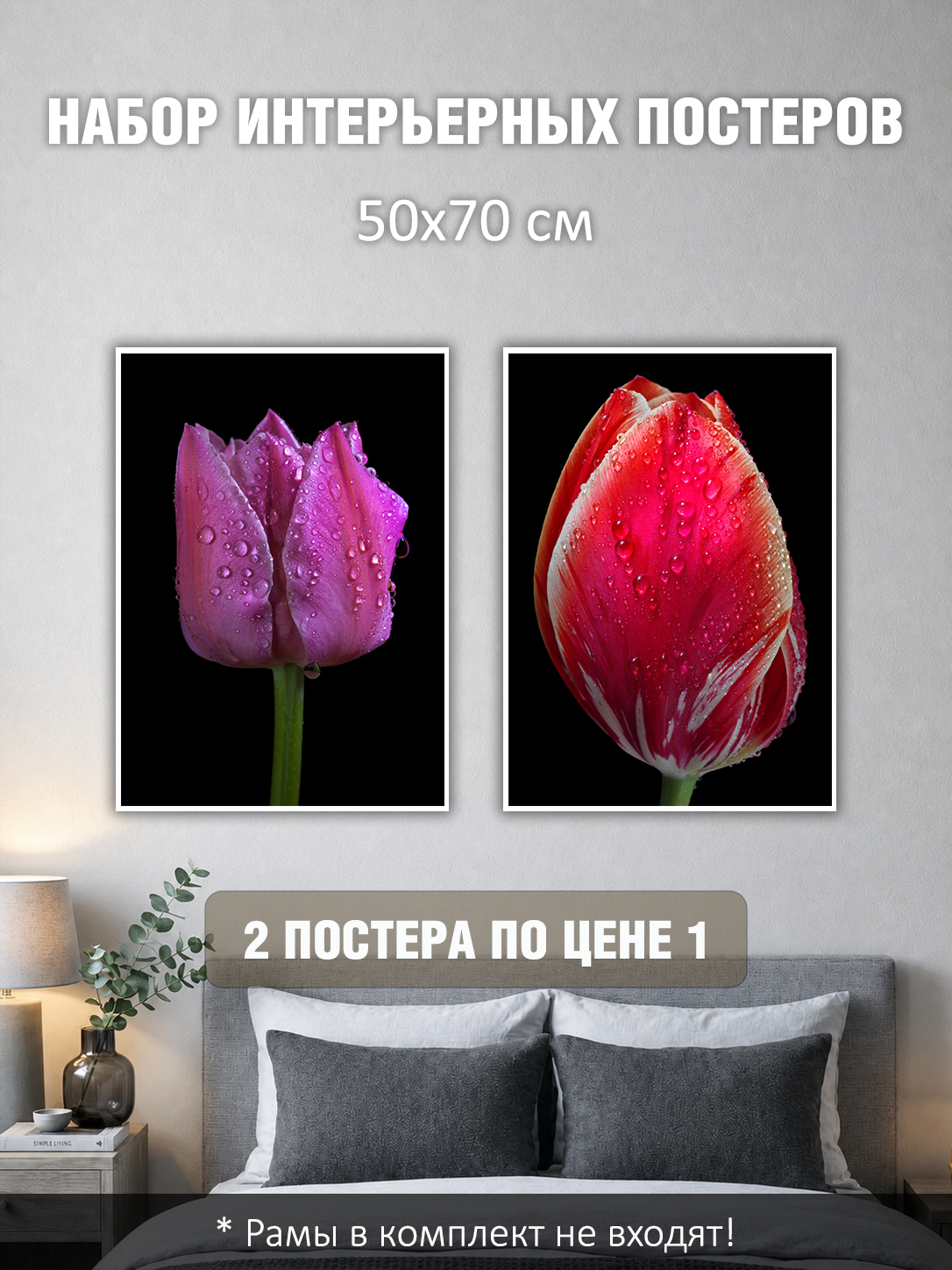 11695233240.jpg Набор постеров интерьерных на стену 50х70 см "Тюльпаны в росе"