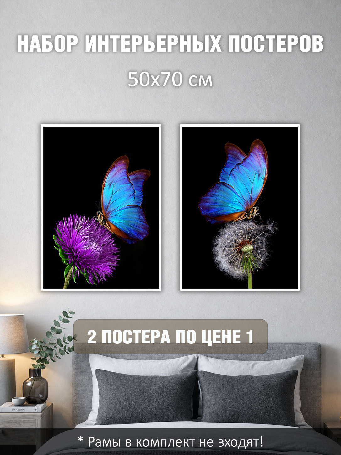 11695233243.jpg Набор постеров интерьерных на стену 50х70 см "Синяя бабочка"