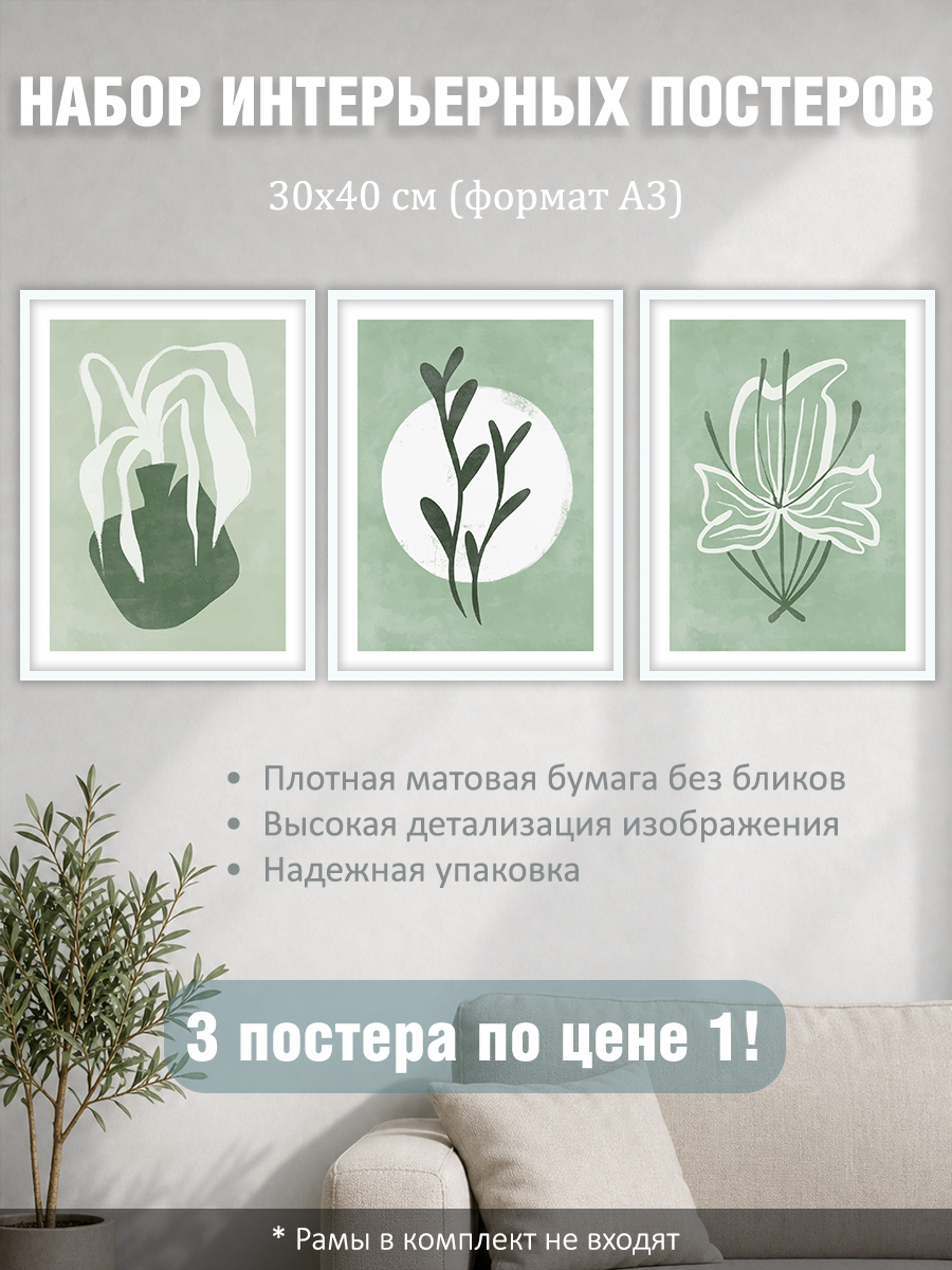 12317154036.jpg Набор постеров интерьерных на стену "Растения бохо" 30x40 см